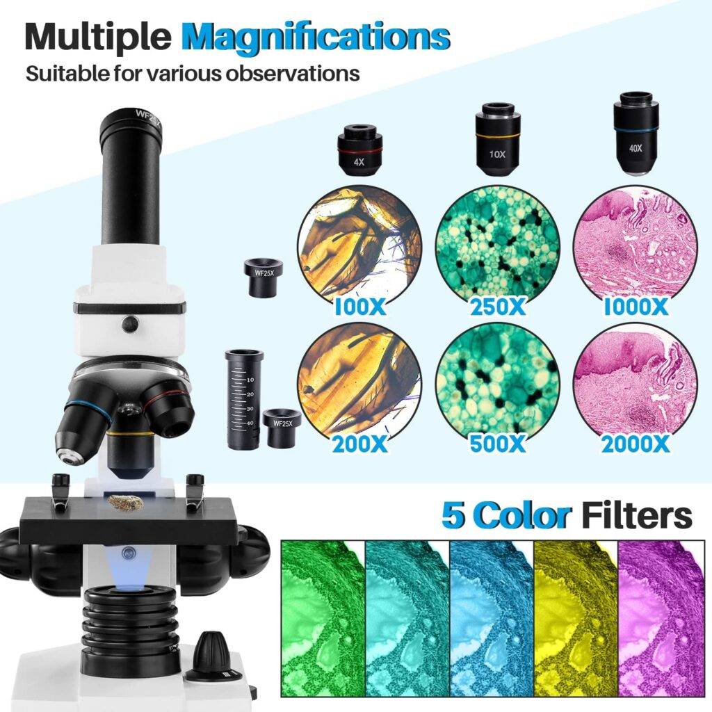 100–2000x Vergrößerung, stark, biologisch, bildungstechnisches Mikroskop